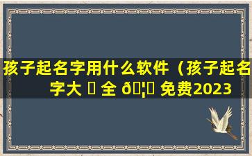 孩子起名字用什么软件（孩子起名字大 ☘ 全 🦄 免费2023年）